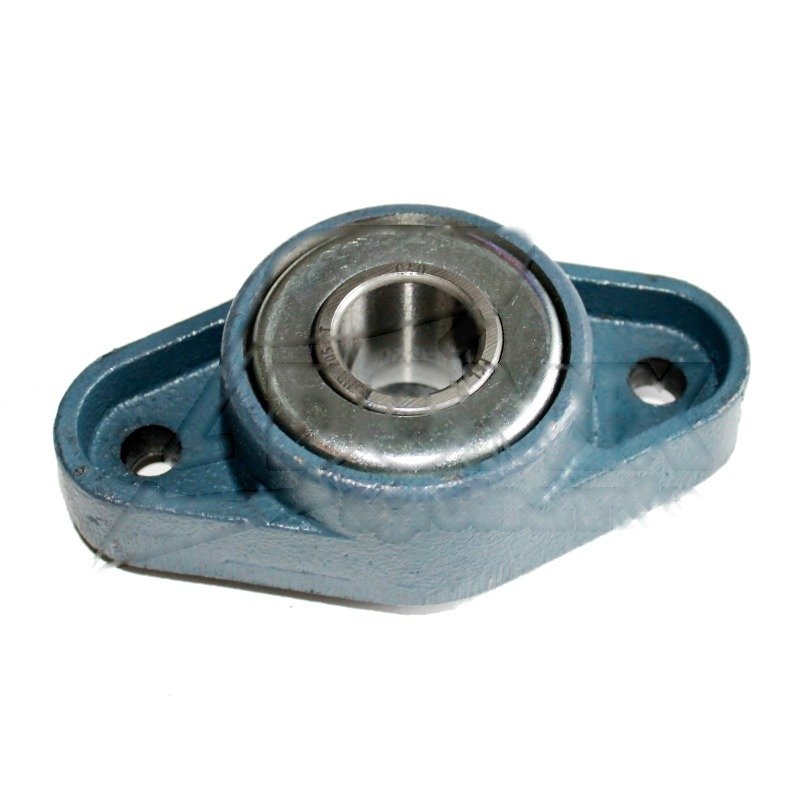 Guolio korpusas, 2 skylės (3199367)