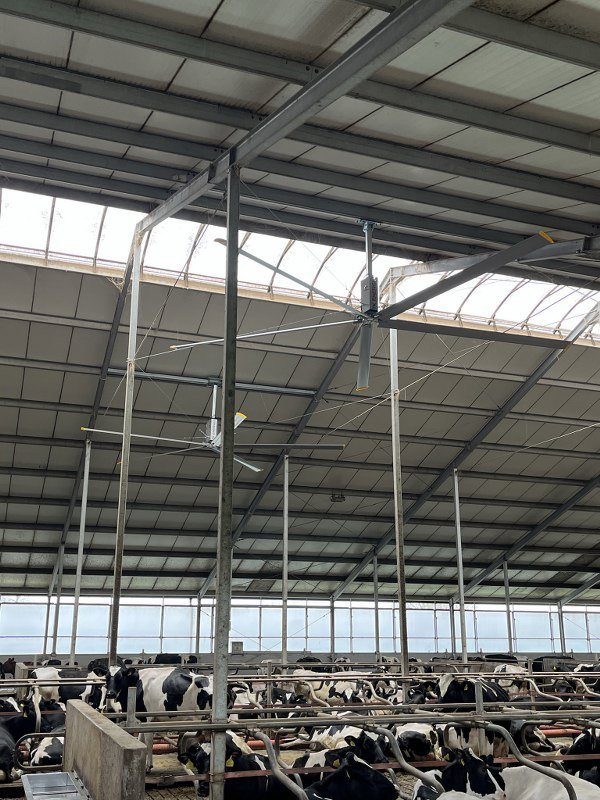 TK HELI HVLS ventiliatoriai